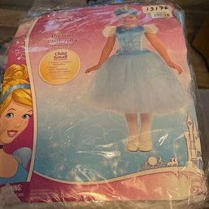 Cinderella Costume